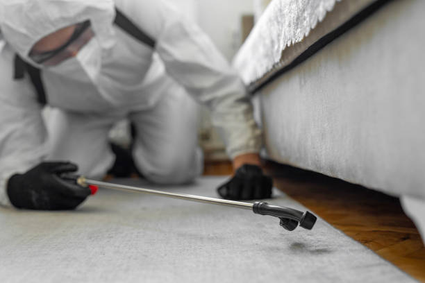 Professional Termite Control technician working in Loves Park, IL